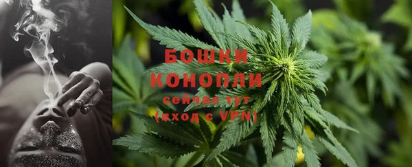 спиды Осинники
