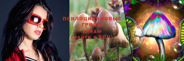 спиды Осинники