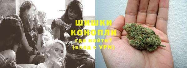 индика Остров