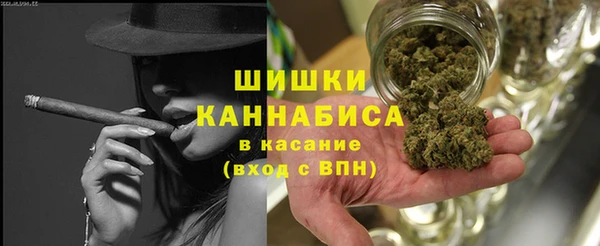 индика Остров