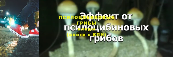 индика Остров