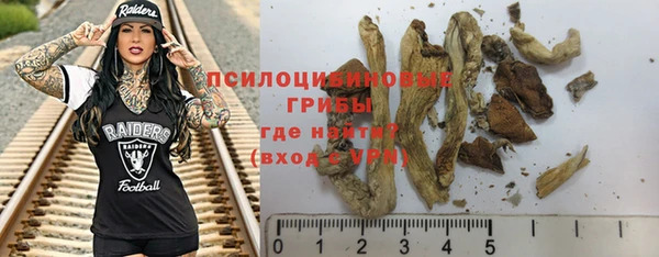 индика Остров