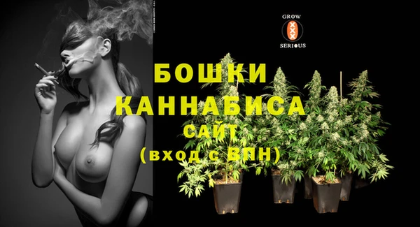 ECSTASY Ветлуга